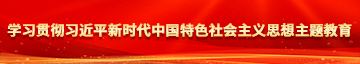 精品黄色日逼网站学习贯彻习近平新时代中国特色社会主义思想主题教育